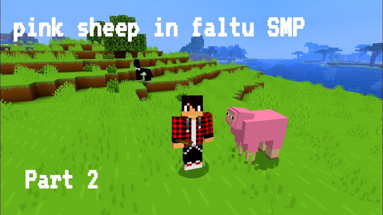 Faltu SMP part 2 I found a pink sheep in faltu SMP