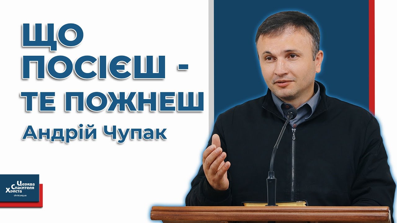 Що посієш - те пожнеш - Андрій Чупак