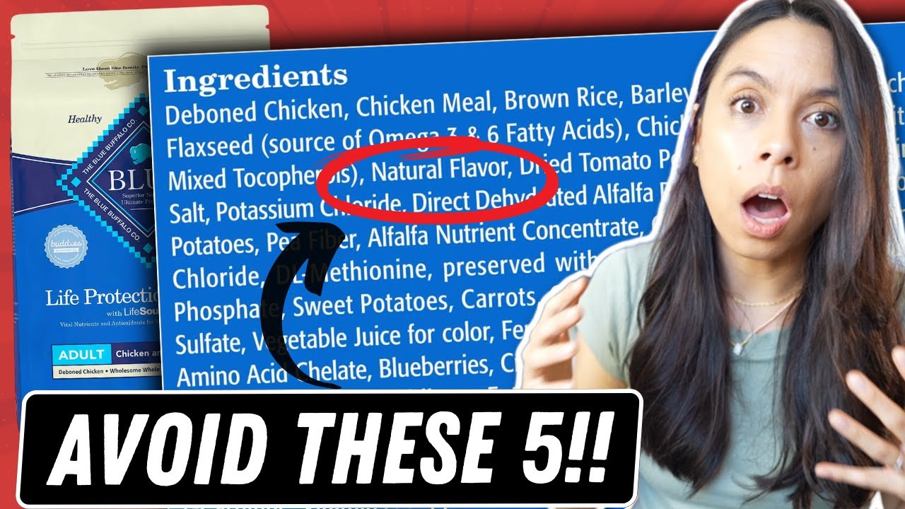 5 Pet Food Ingredients to Avoid!!!? ⚠️