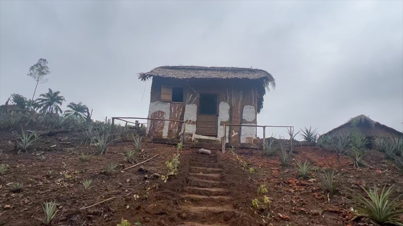 MY TINY FARM HOUSE, NESTLED BELOW THE HILL, NEXT TO A CREEK, SURROUNDED BY PINEAPPLES & FLOWERS🙌🏾🇱🇷