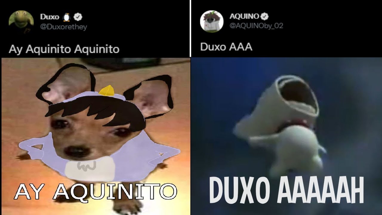 AY AQUINITO DUXO AAA