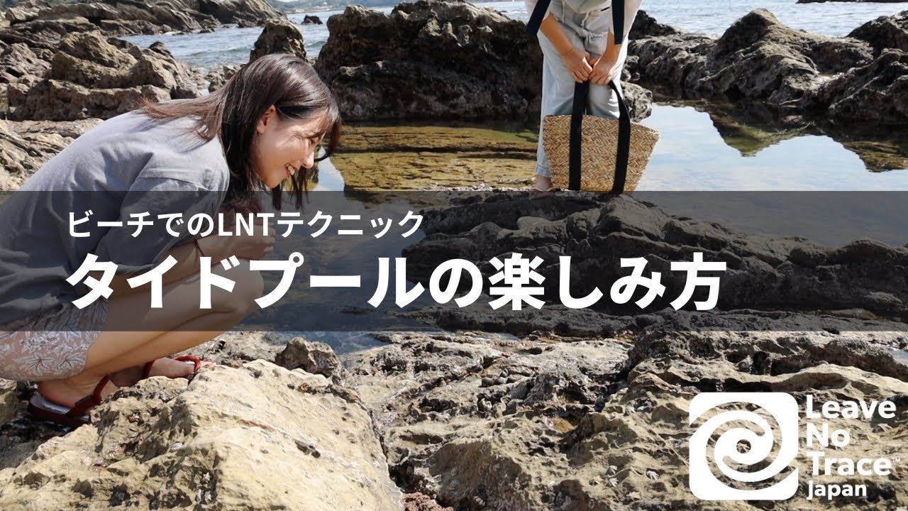 タイドプールの楽しみ方【ビーチでのLNT】
