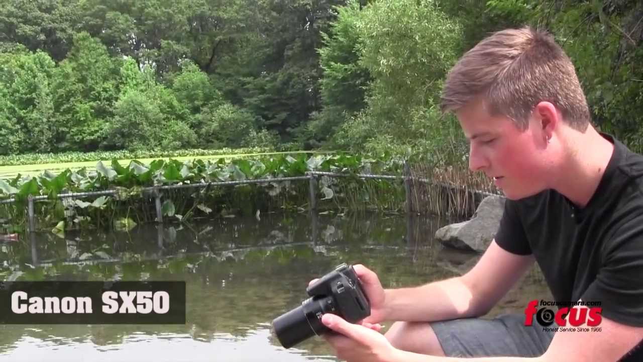 Comparison Video of Canon Sx50, Sony HX300 & Nikon P520
