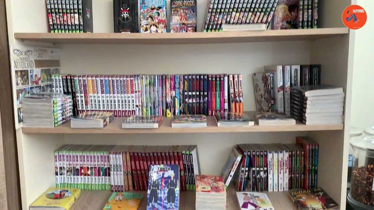Episode 1 Présentation librairie La Barque aux Livres