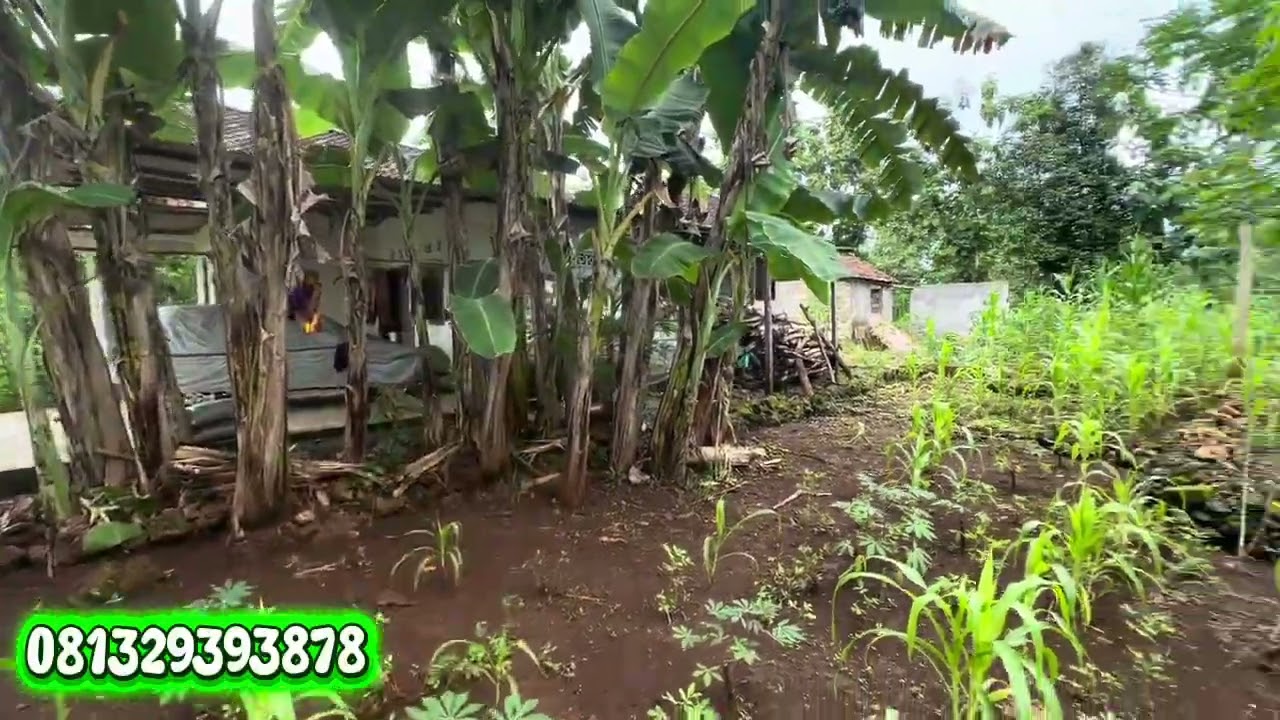 Tanah dikawasan pemukiman cocok untuk hunian