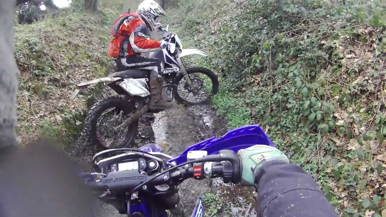 sherco scorpa