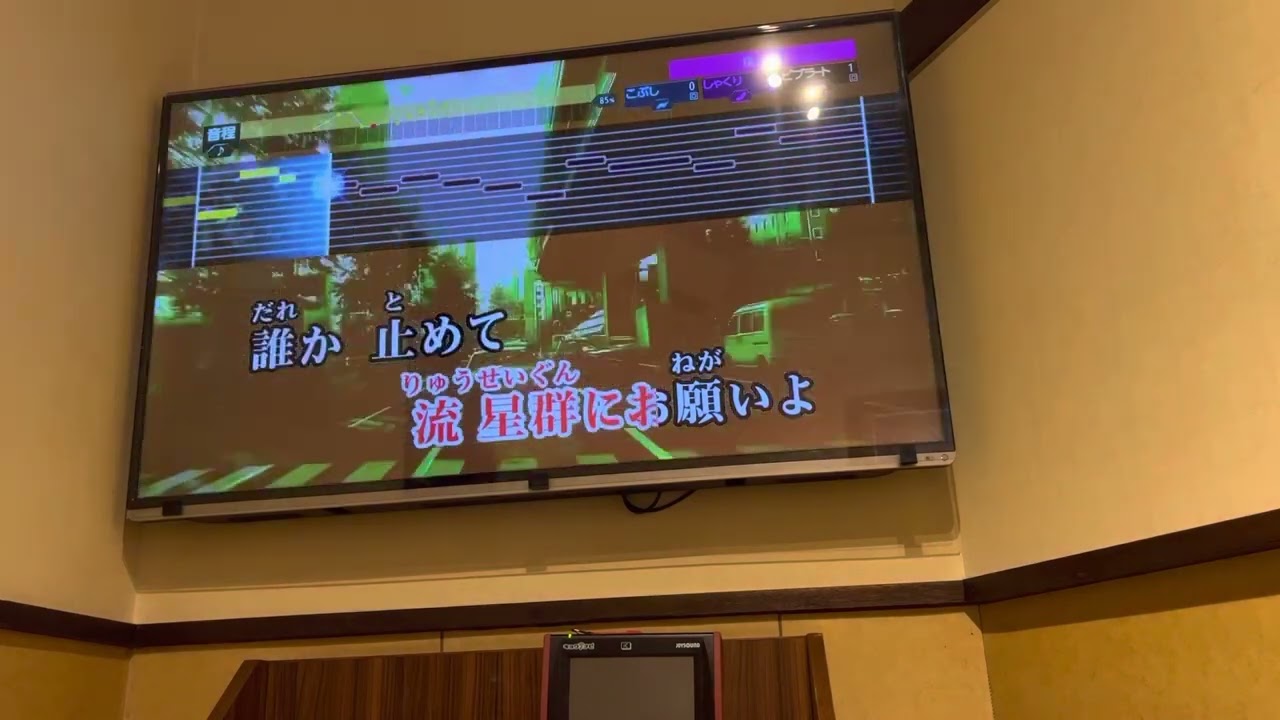 相対性理論のスマトラ警備隊を歌ってみた動画