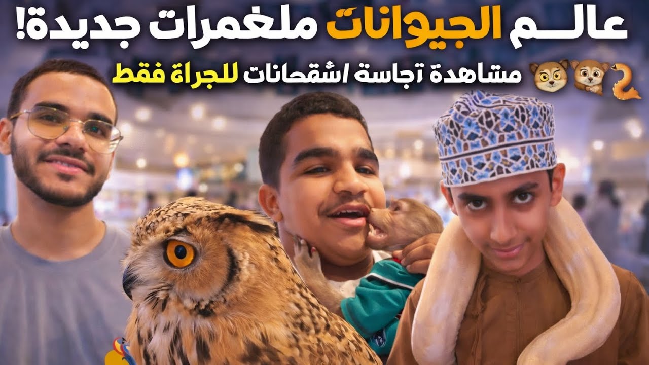 أغرب مشاهد الحيوانات في المول 😱🦉🐒🐍 | تجربة جريئة للقلوب القوية#حيوانات#مغامرة