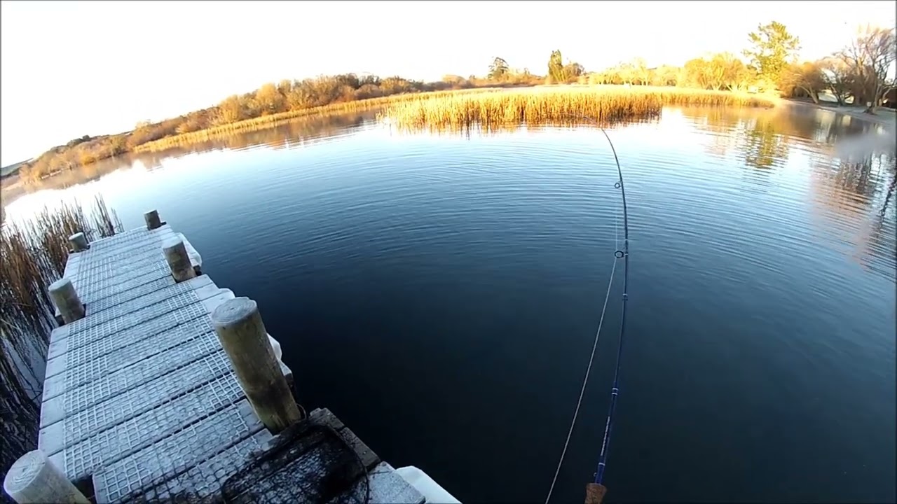 NEW ZEALAND TROUT FISHING LONG DROP 4