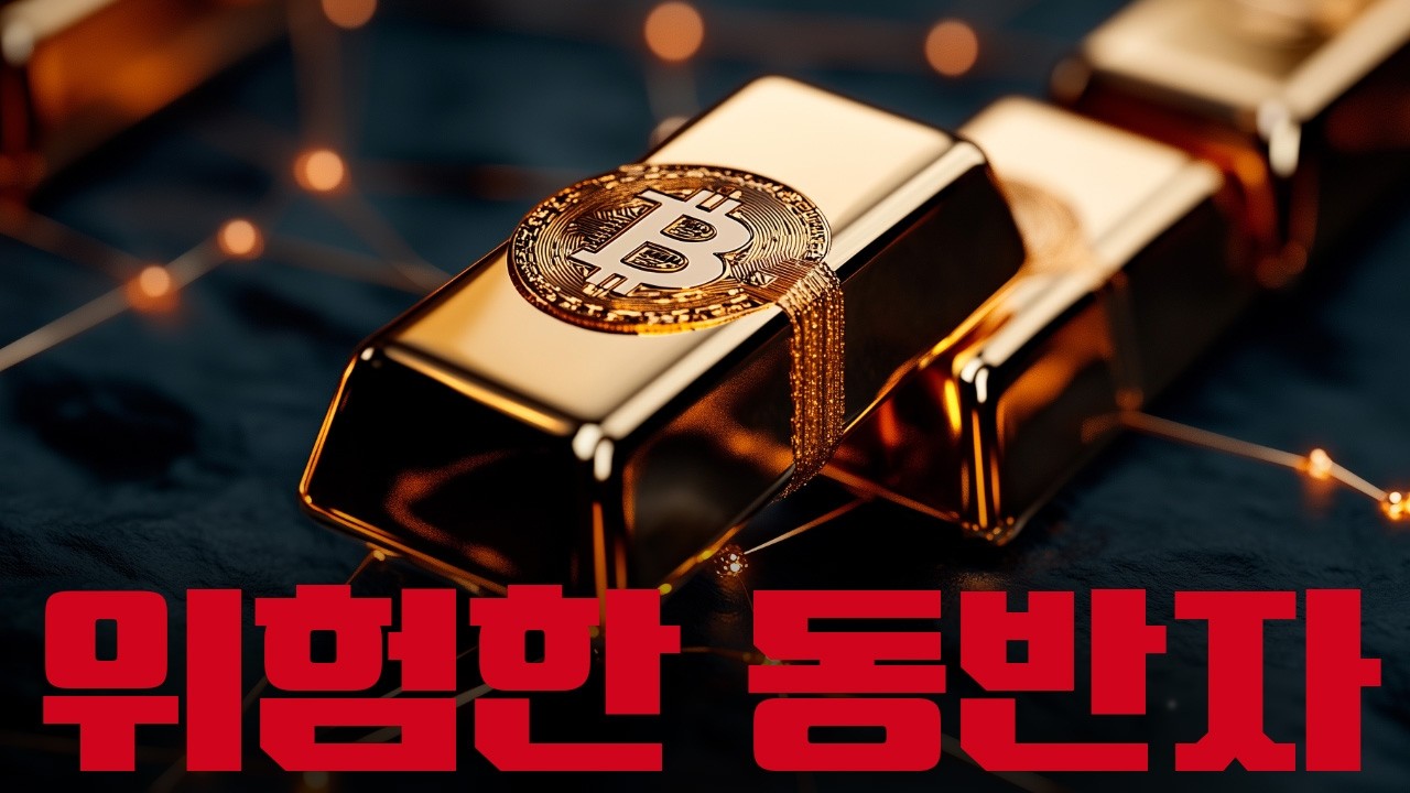 리스크 온&middot;오프가 바뀌는 순간, 비트코인은 이렇게 움직였다