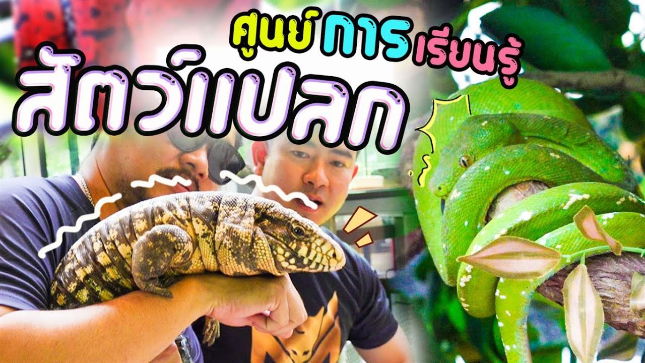 ศูนย์การเรียนรู้สัตว์แปลก AM Exotic Life ที่นี่มีอะไรบ้าง..?
