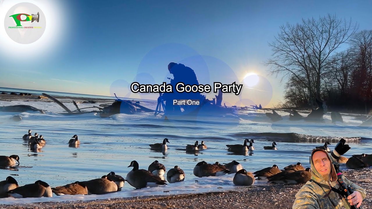 Canada Goose Party #Canada Goose