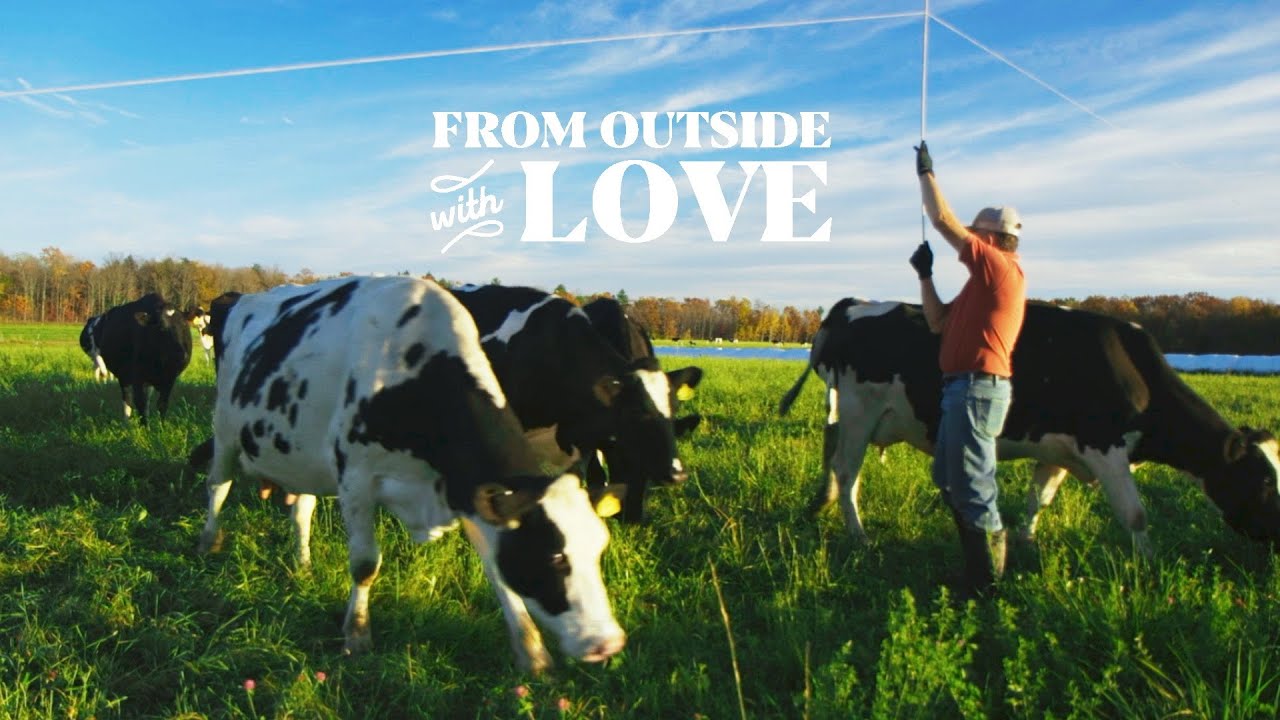 Organic Farming with Dairy Cows | Organic Valley