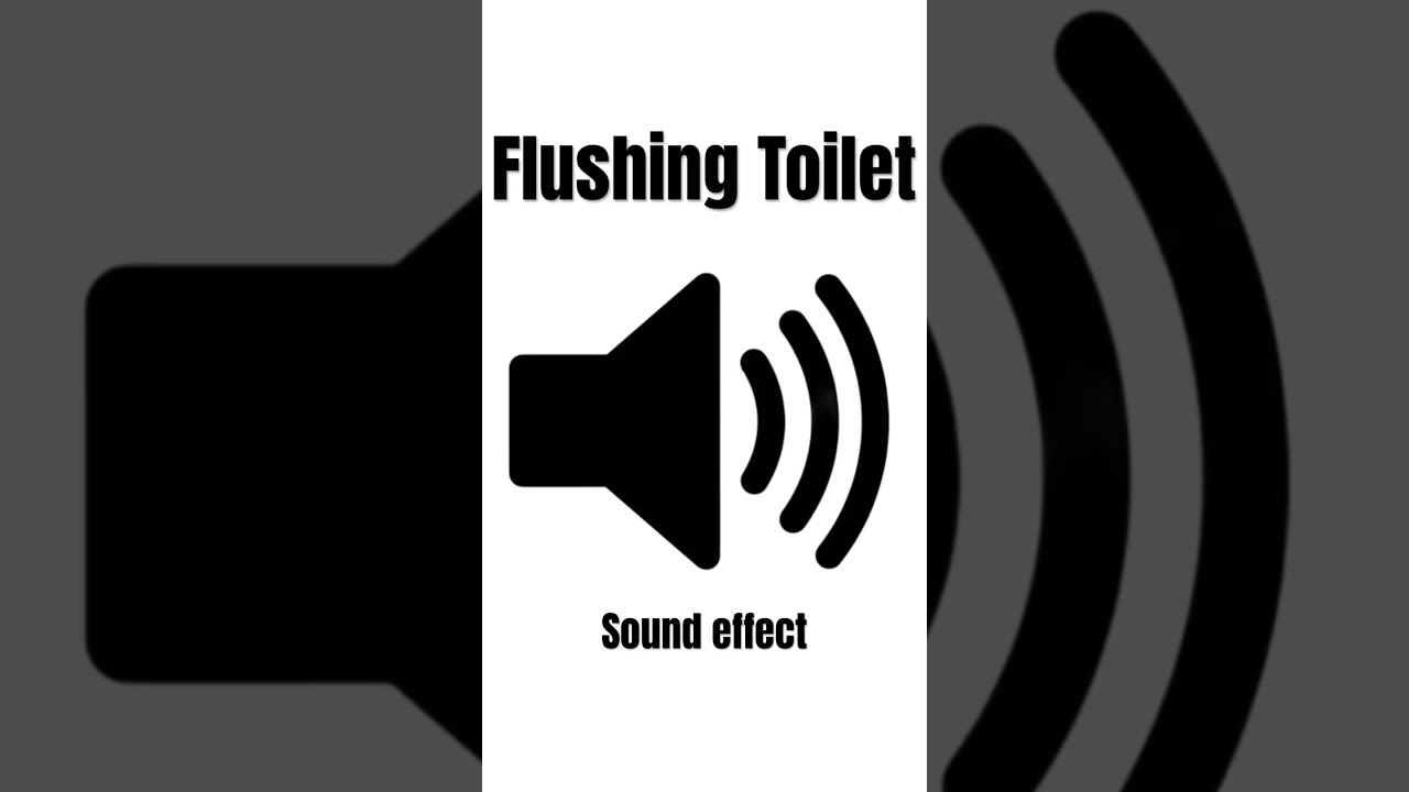 Flushing Toilet (sound effect)
