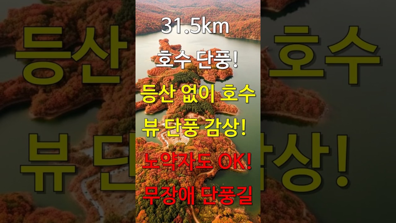 등산 금지! 31 5km 호수길이 단풍으로 물든 곳  걷기 부담 없는 가을 트레킹 명소. #국내여행, #가을여행, #트레킹