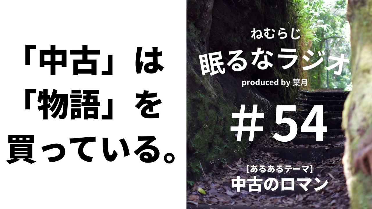 #54 趣味はハードオフのジャンクコーナー巡りです。 【podcast】【ねむらじ】
