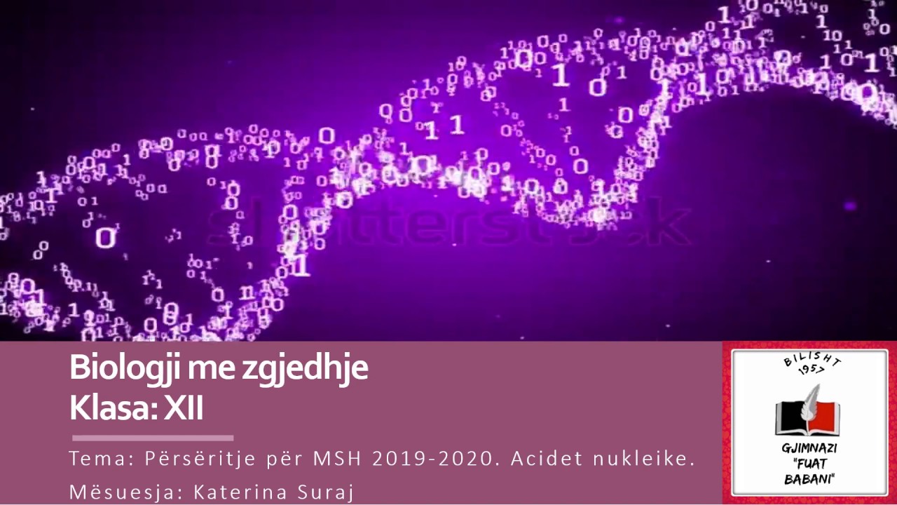 Përsëritje për Maturën Shtetërore 2019-2020. Acidet nukleike.