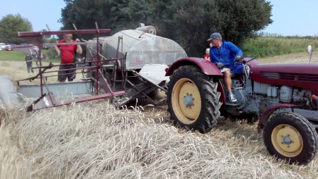 Mähdrescher Claas Super K 1951 am Steyr 288 V03