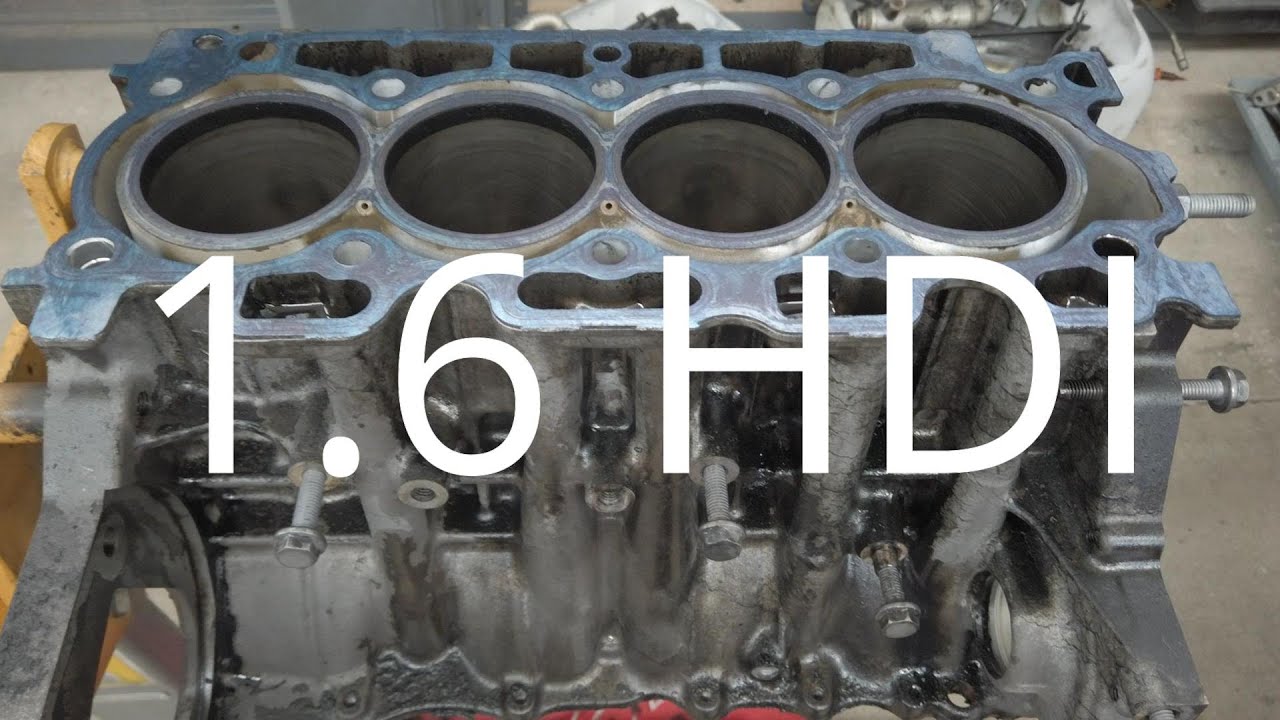 Fugas de óleo 1.6HDI