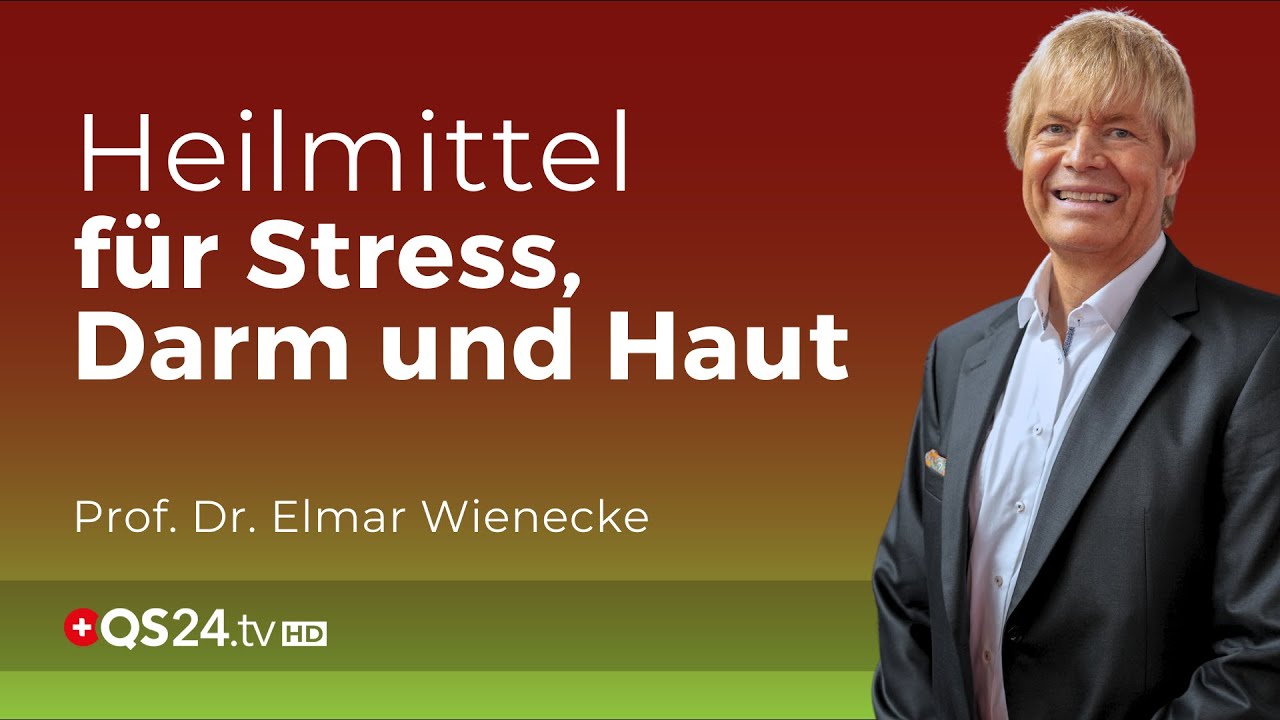 Heilung von innen heraus: Wie Mikronährstoffe Stress, Darm und Haut transformieren | QS24 Gremium