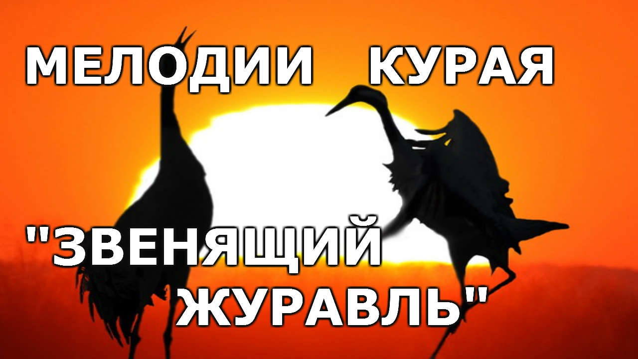 Звенящий журавль.(Сынрай торна) Башкирская народная инструментальная мелодия.