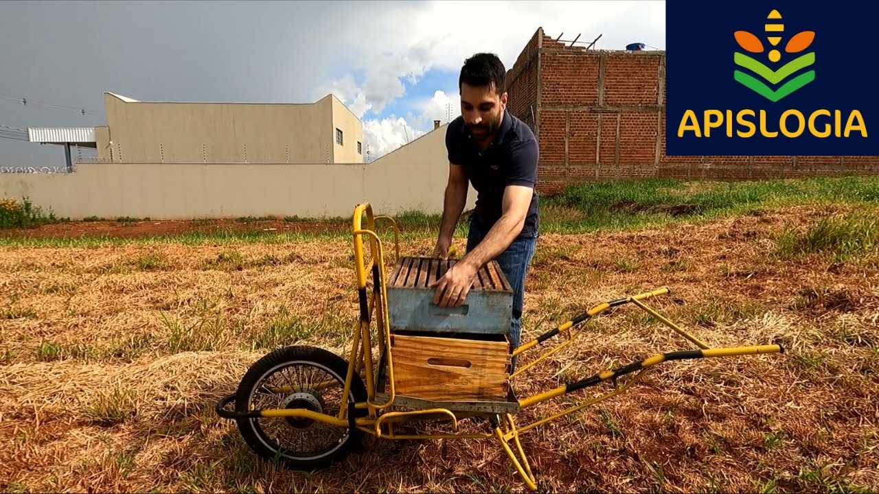 Carrinho para colher MEL | Apislogia