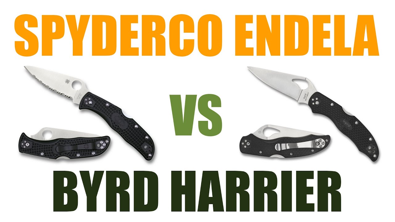 Spyderco Endela VS Byrd Harrier 2 - Présentation et comparatif