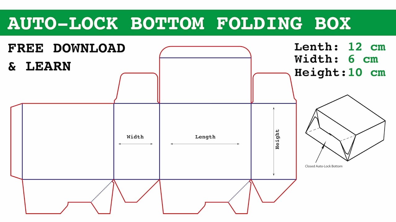 Auto Fold Bottom Locks - Dieline 2 - Adobe Illustrator