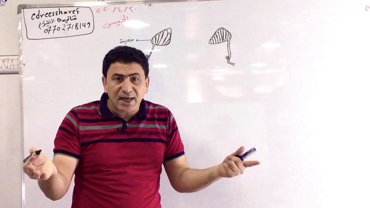 الفصل الثالث التكاثر(التكاثر في الحيوان/ التكاثر في الحشرات)20
