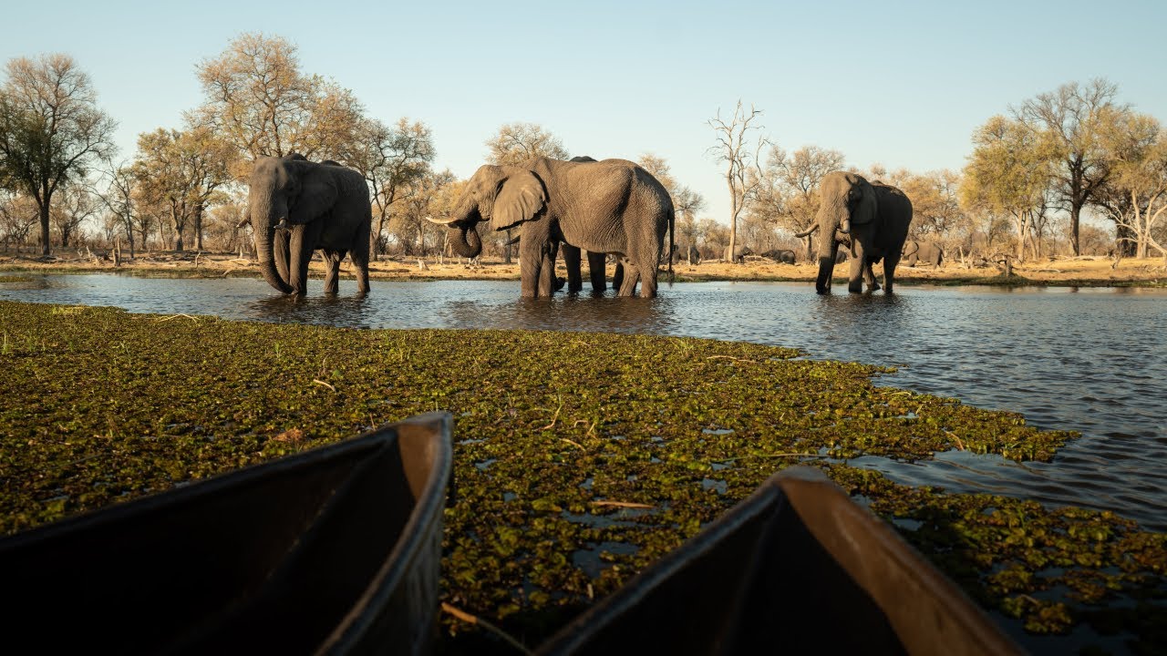 Beautiful Botswana