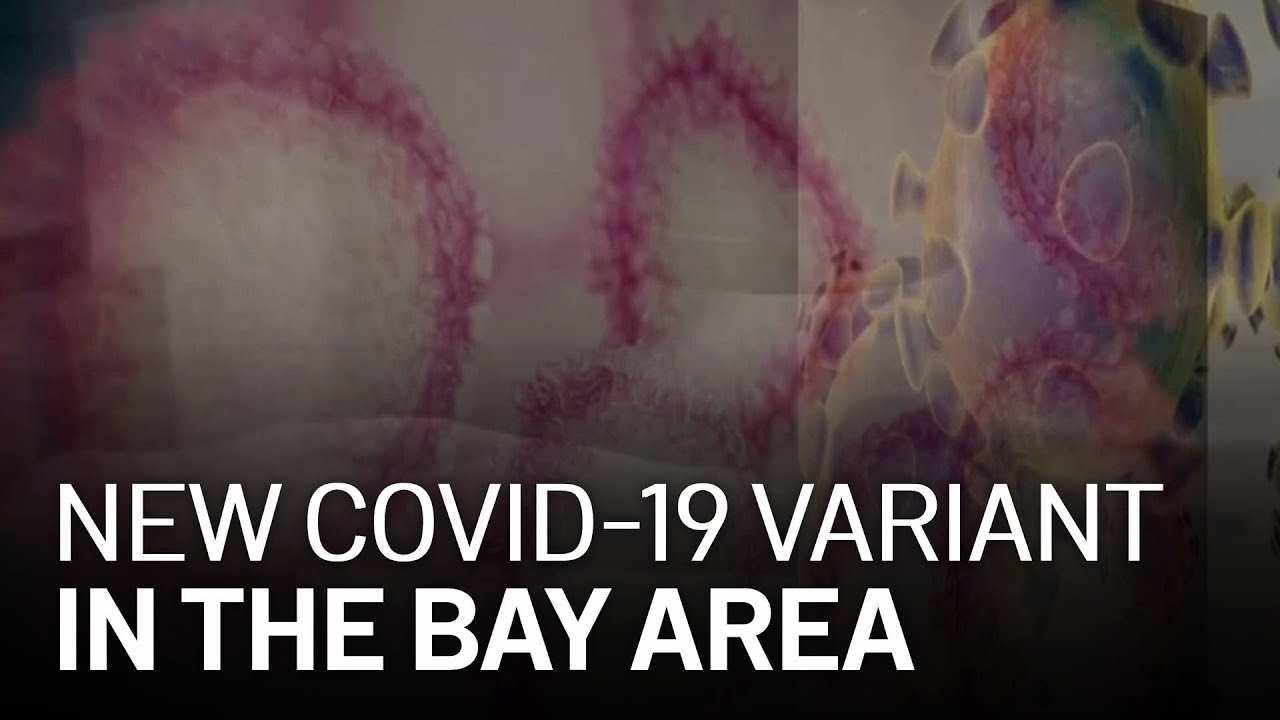 New COVID-19 Variant Discovered in the Bay Area