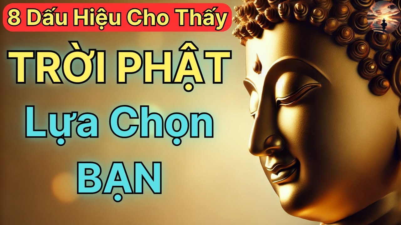 8 Dấu Hiệu Cho Thấy: Bạn Là Người Được Trời Phật Lựa Chọn Mang Sứ Mệnh Cao Cả