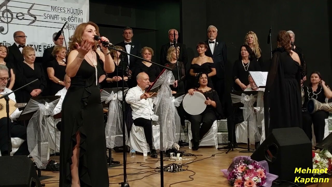 Elif Koçak – Adım Adım Ümit Verdiğim Yollar