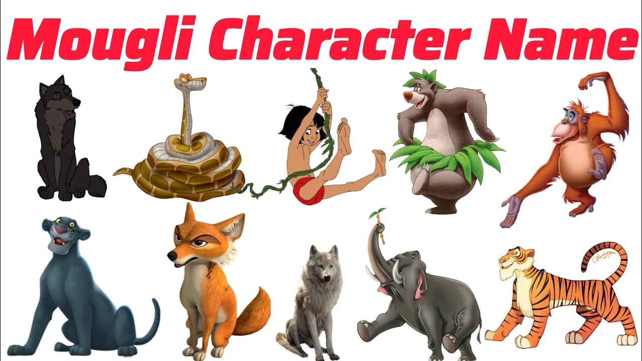 Mougli cartoon name मोगली के नाम Pre kids english vocabulary learning | Kids knowledge Video