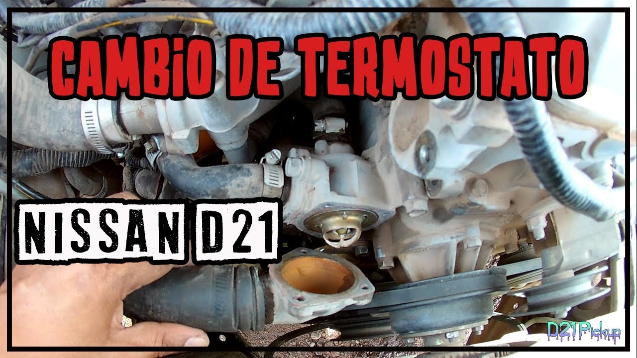 Cambio de Termostato + Mangueras de Agua