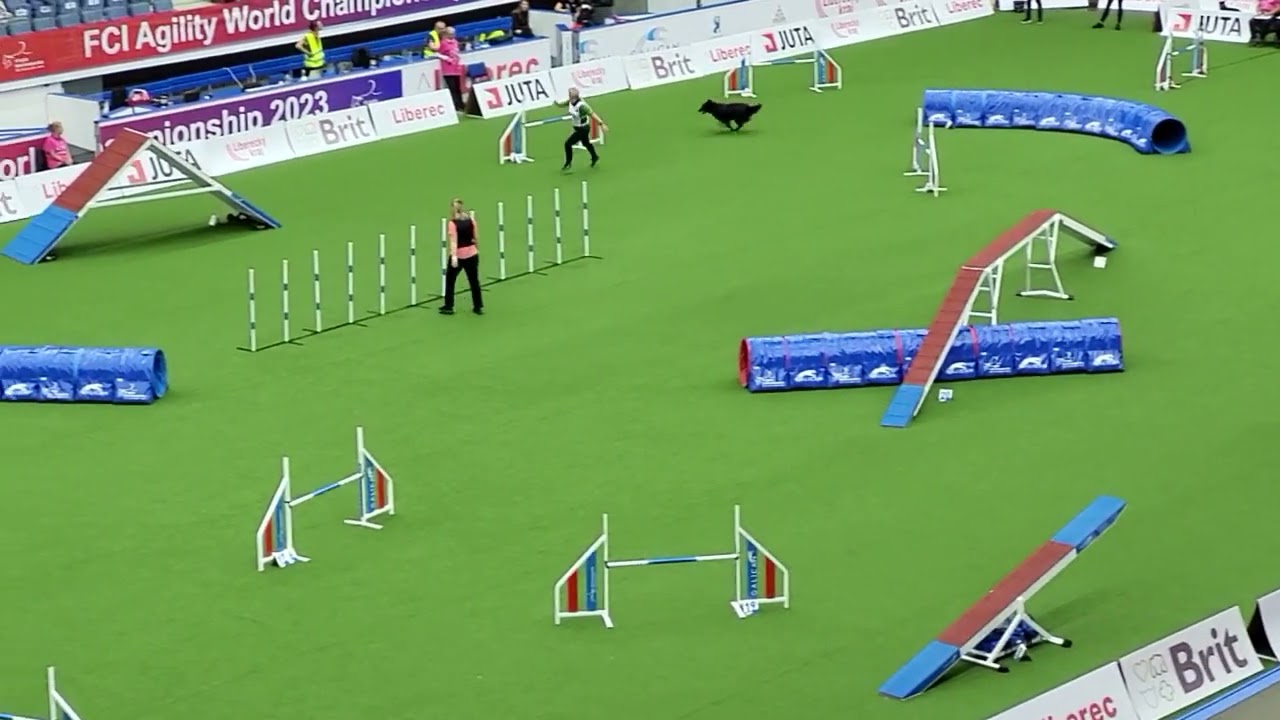 DESNA Agility Large Individual JOLANTA JANUSAUSKIENE, FCI AWC 2023