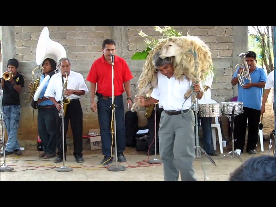 EL BAILE DEL GUAJOLOTE