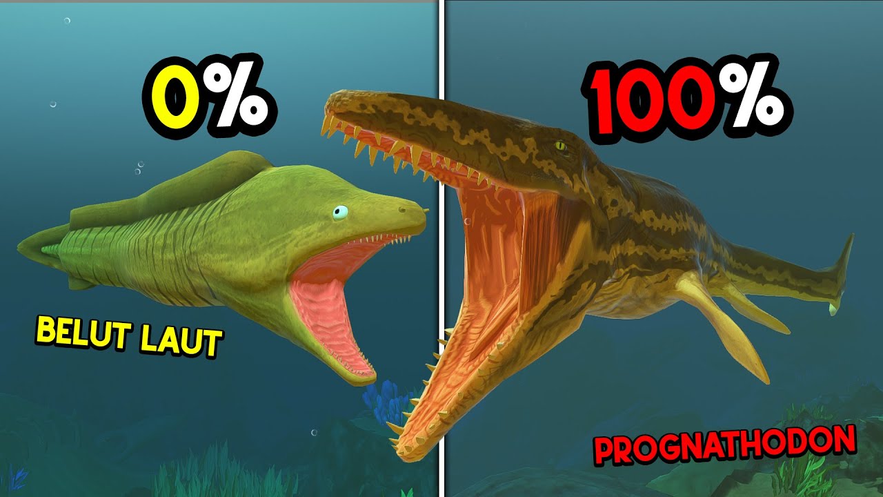 Gue Jadi BELUT MORAY LAUT PENGINTAI Sampai Dapat PROGNATHODON BUAS... Feed And Grow Fish