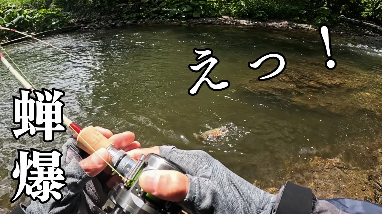 釣育　以前にデカイの釣ったポイントにセミルアーをキャストした結果　下調べが最高の結末に・・・。　息子は最高のプレゼントを手にするの巻