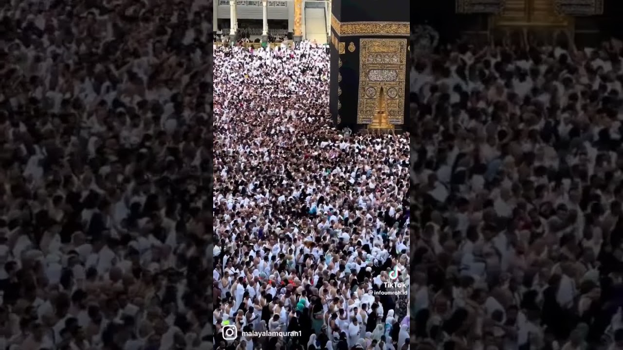 Labbaikallahumma Labbaik Hajj #talbiya #hajj