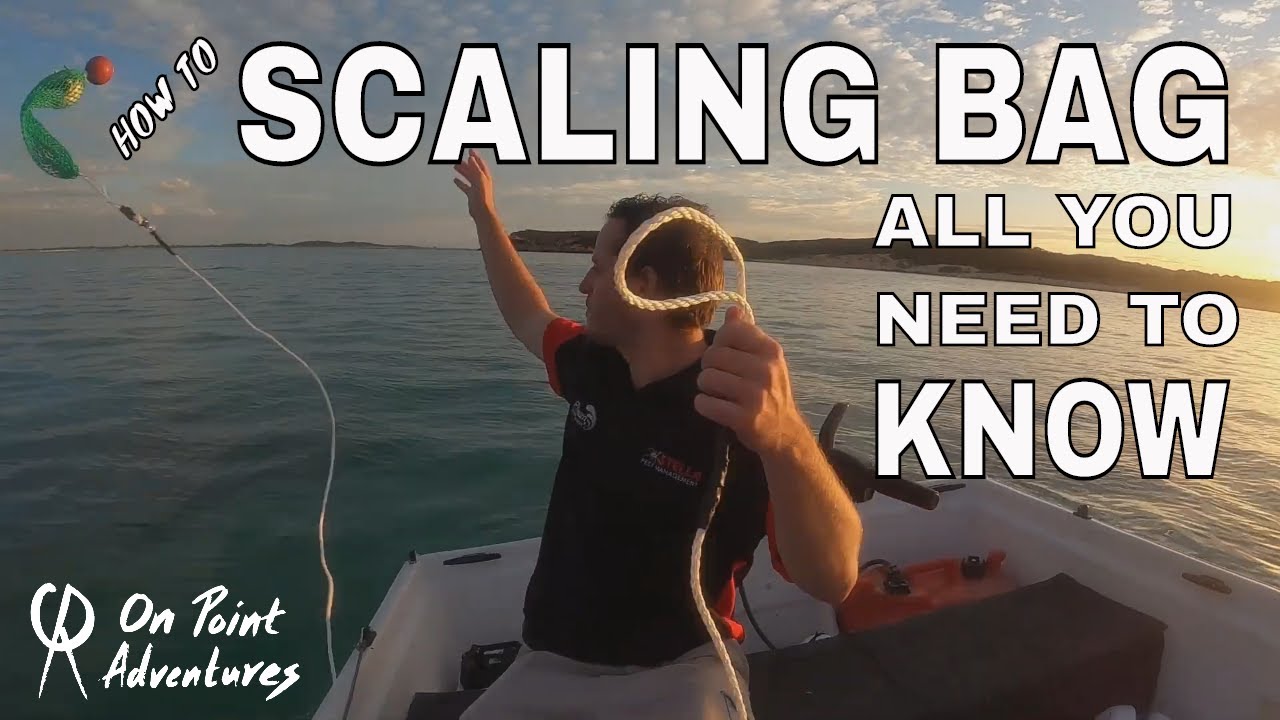Scaling Bag HOW TO | Everything You NEED To Know | On Point Adventures
