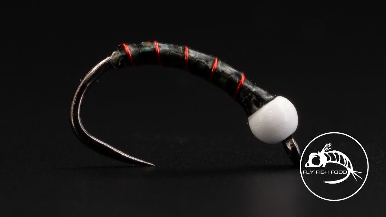Fish Love This SIMPLE Fly Pattern! | Zucchini Chironomid | Fly Tying Tutorial