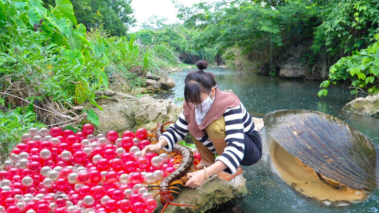 🎁 One Clam, One Pearl, One Life Changed Forever: Teen’s Discovery Shakes the Jewelry World!