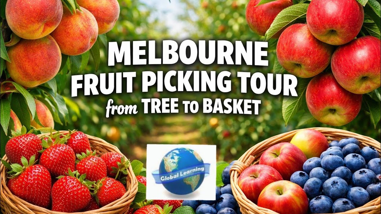 MELBOURNE FRUIT PICKING TOUR from TREE TO BASKET || MOTIVATIONAL / INFORMATIVE / INSPIRATIONAL VIDEO