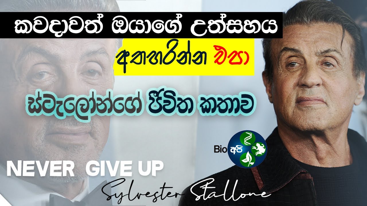 උත්සහය අතහරින්න එපා - Sylvester Stallone's Inspiring Life Story - Never Give Up Sinhala Motivation 💪
