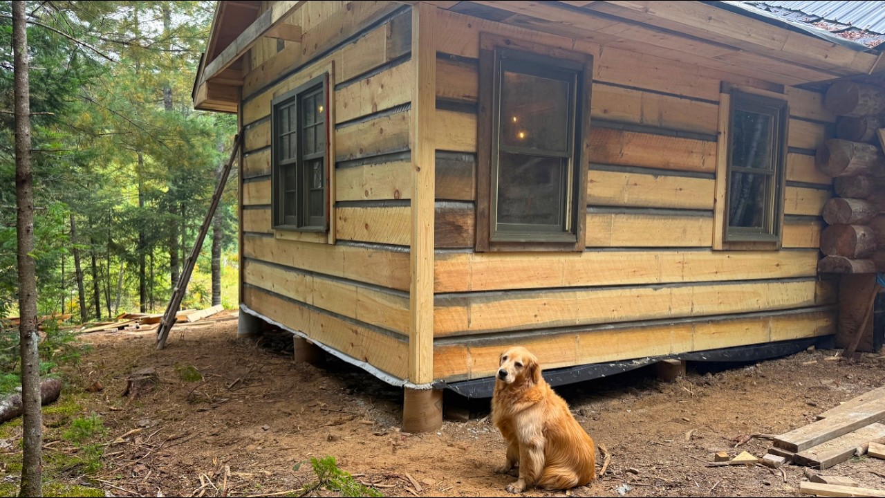 Building Alone in the Wilderness | Entrance from the Bedroom to the Log Cabin & Installing Windows