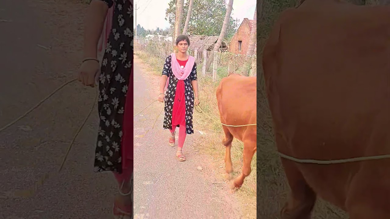 работа на ферме🌱☘️🌿🐄 #ренгамониша