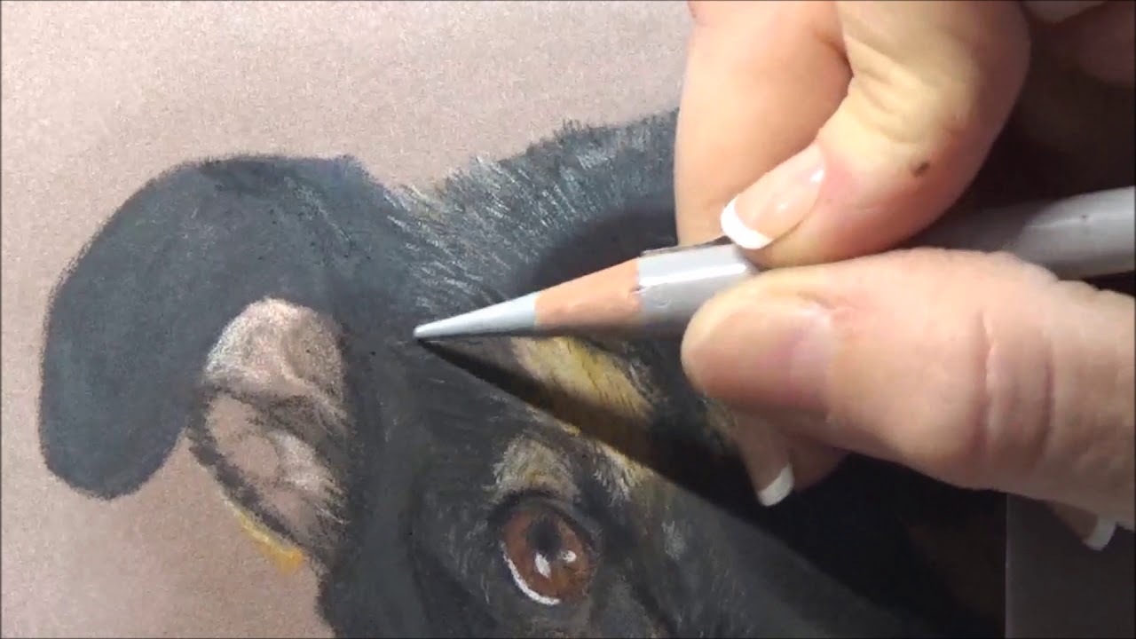 Drawing black fur on my Orbital easel