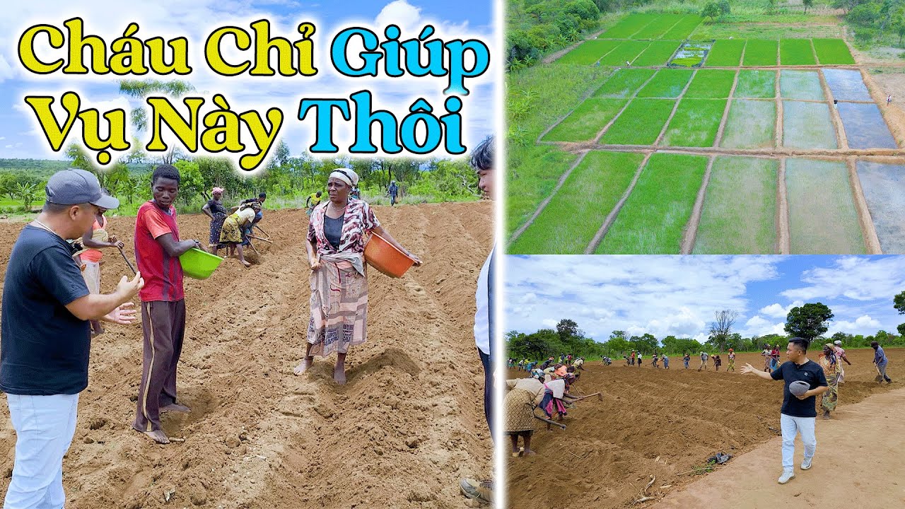 Đ&ocirc;ng Paulo || Ch&aacute;u Chỉ Gi&uacute;p Bản Vụ N&agrave;y Nữa Th&ocirc;i! Tin Sốc Về Dự Định Sắp Tới!