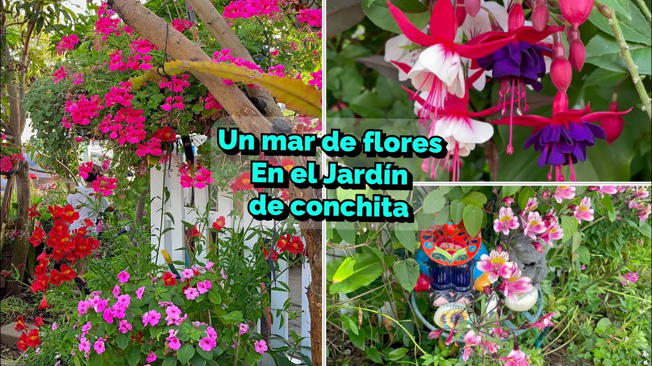 Tour por el jardín de Concha . Un jardín lleno de flores 🌹 y de mucha Inspiración 🥰🥰🥰